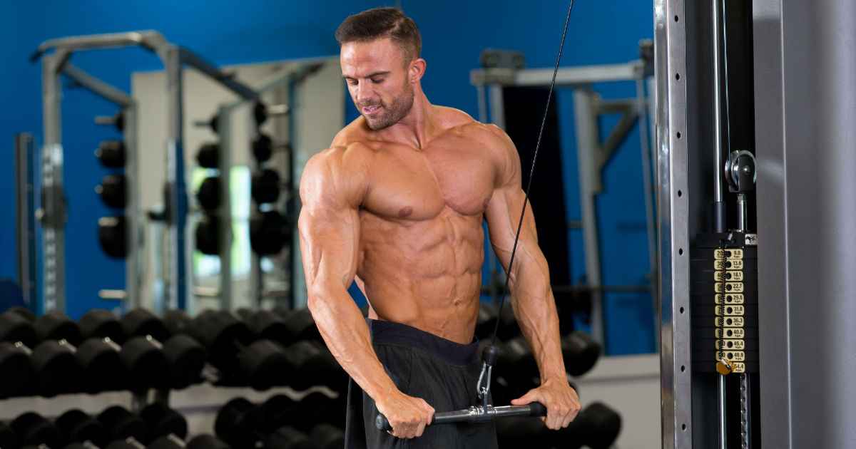 5 Steps For Making A Muscle Gain Meal Plan
